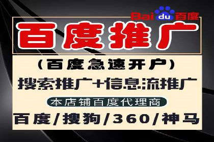 百度推广费用投入与品牌知名度提升的案例分析